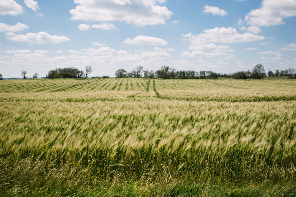 Notre randonnée normande vous emmène à travers champs.