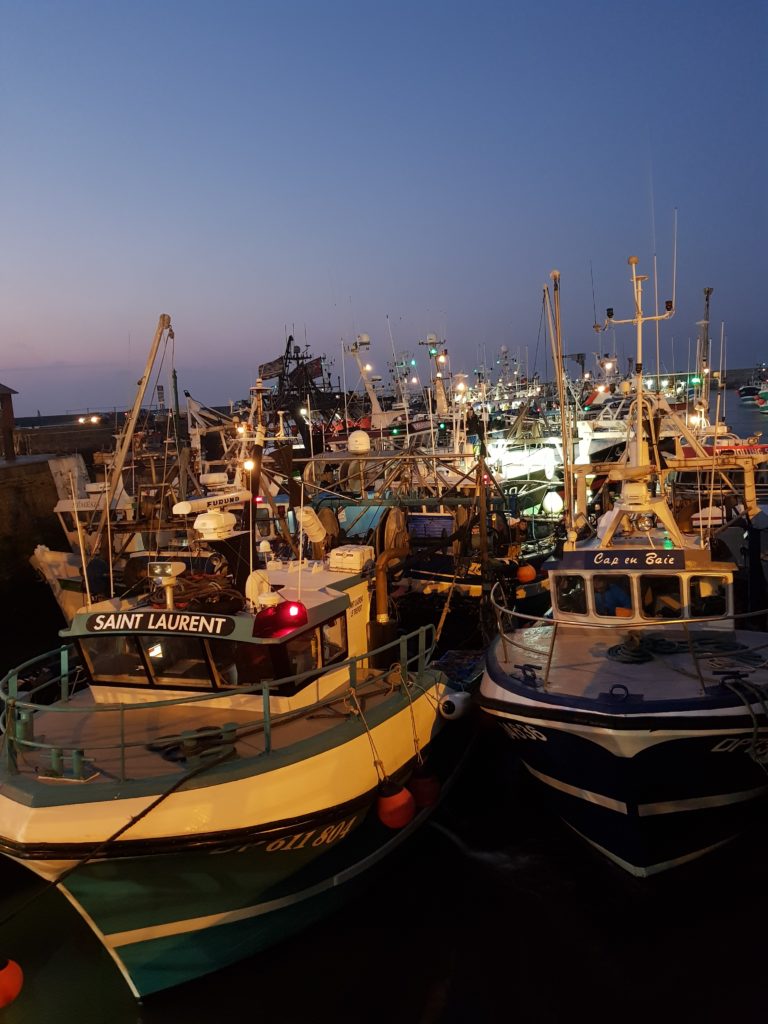 Retour de pêche à la coquille Saint-Jacques : embouteillage de bateaux dans le port de Port-en-Bessin